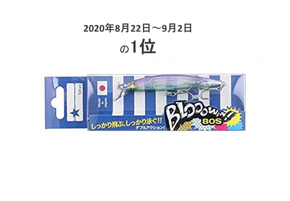 隅田川シーバスの釣果ルアー