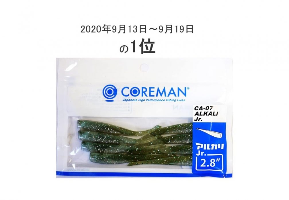 隅田川シーバスの釣果ルアー