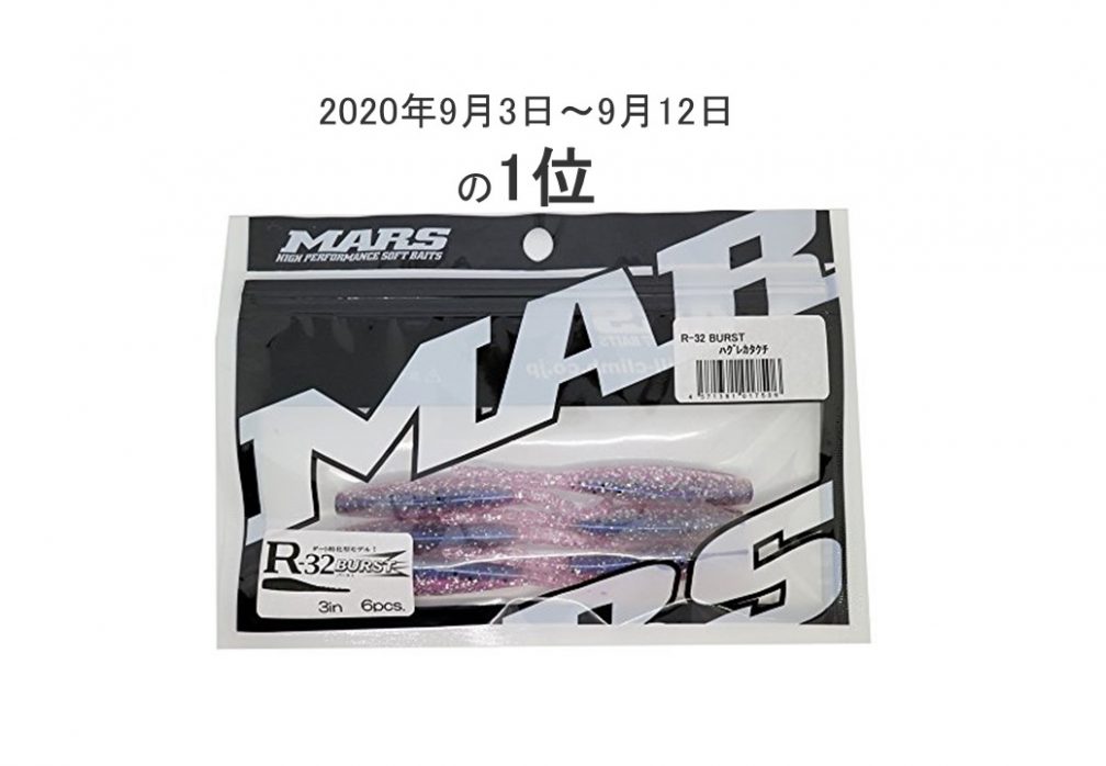 隅田川シーバスの釣果ルアー