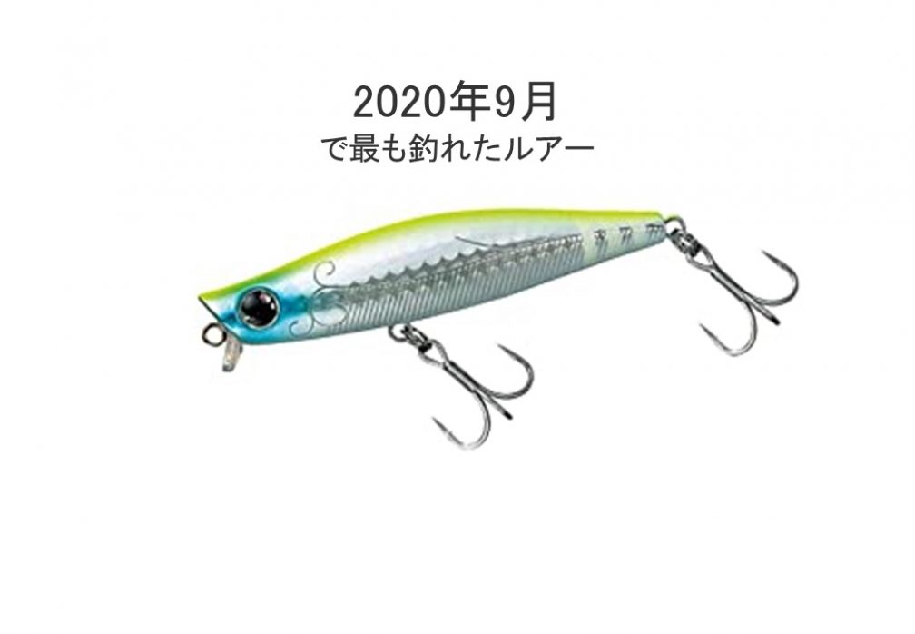 9月隅田川シーバスの釣果ルアー