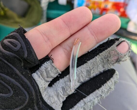 バイトの瞬間に針を折られた弓ヅノ