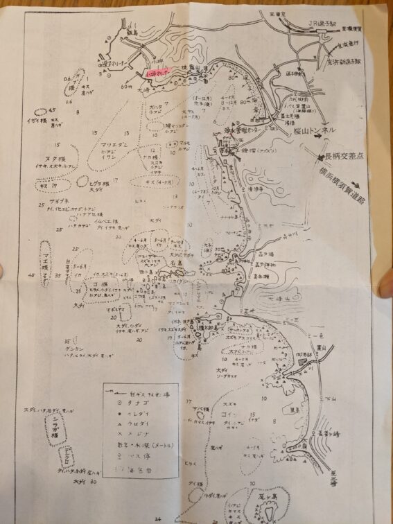 葉山・名島沖のポイント