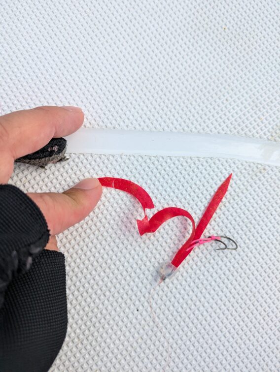 サバフグに切り刻まれたタイラバのスカート