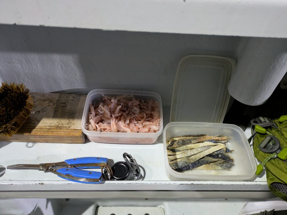 太郎丸で提供されたオキアミとサバ餌