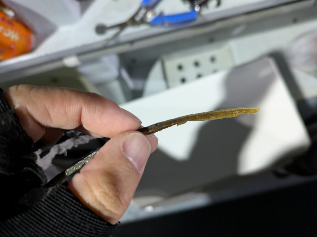 うっすい手作りサバ餌