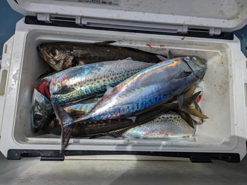 満タンのクーラーボックス