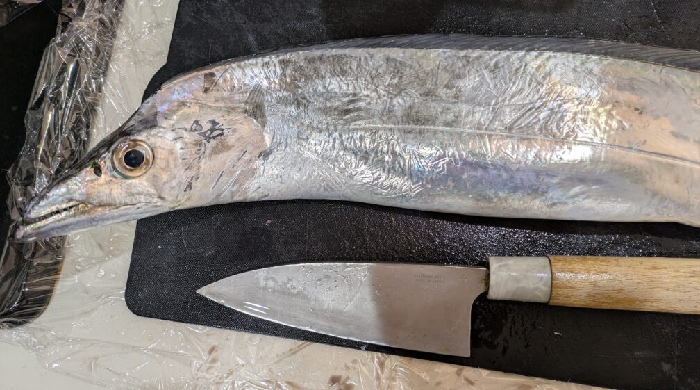 東京湾のドラゴンタチウオをさばく